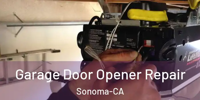  Garage Door Opener Repair Sonoma-CA
