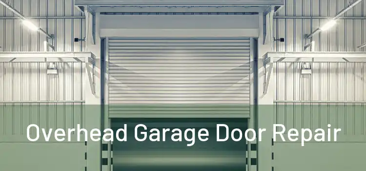  Overhead Garage Door Repair 